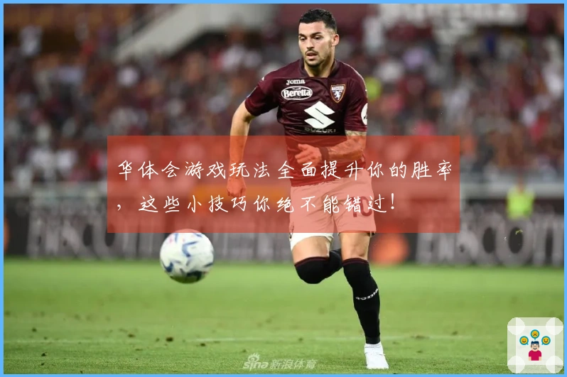 华体会游戏玩法全面提升你的胜率,这些小技巧你绝不能错过!